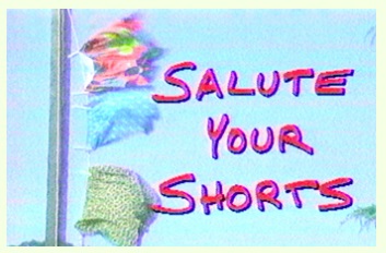 Salute Your Shorts Flag